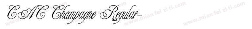 CAC Champagne Regular字体转换